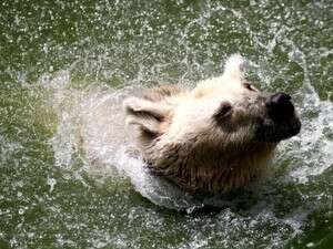 �� ��� ����� ���''��. �� ��� ���� �����