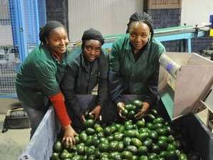 ��������� ������� ���� ������ ������� ����