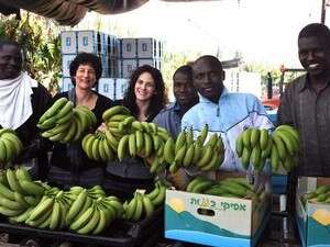 ���� ������� �� ���������