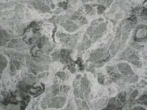 סקיצה לקולאז' צילומי זירוקס של איילה צרפתי סקיצה לקולאז' צילומי זירוקס של איילה צרפתי