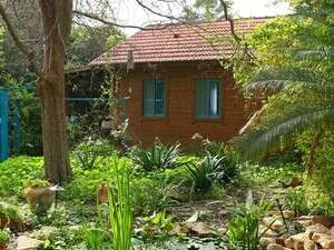 ������ ������ �����, ����� ������. ����� ������� ����