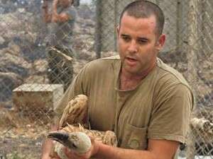 כלובי הנשרים מפונים משמורת גמלא כלובי הנשרים מפונים משמורת גמלא