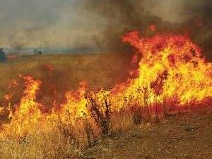 צילום ארכיון: שריפה בירושלים צילום ארכיון: שריפה בירושלים