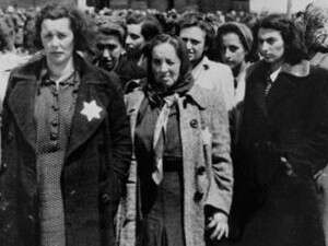 ���� ����� ������ �������.