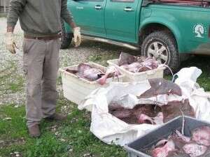 ����� ��� ������� ����� 