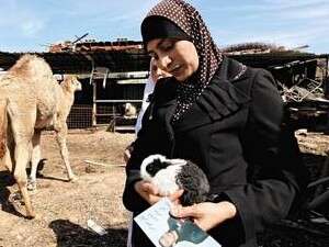 ���� �� ���� ����� ����