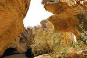 כמו פסל סביבתי. עין יורקעם כמו פסל סביבתי. עין יורקעם