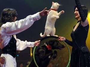 ���� ���� �����