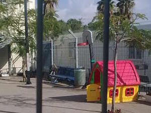 ���� ������ ������� ����� ����