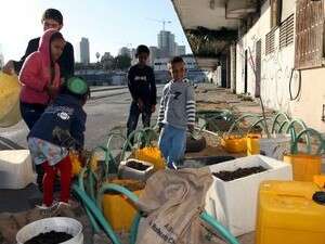 ���� ������� ����� �����. ��� �������