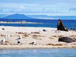 �� ��� ����� ���� ������� ������. ���� �� ������� ������ ��������.