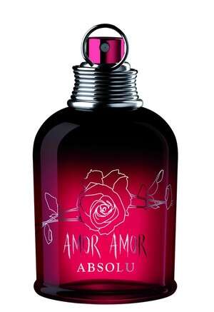 amor amor absolu של קשארל amor amor absolu של קשארל