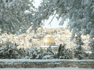 ��� ��������