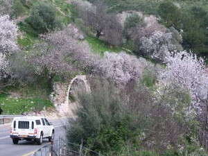 ������ ���� ���� ����