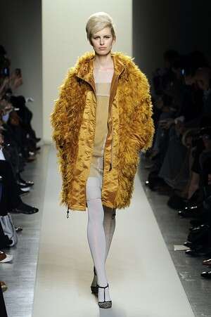 חרדל בתצוגת חרדל בתצוגת