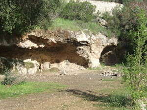 ����� ������ ���� ����