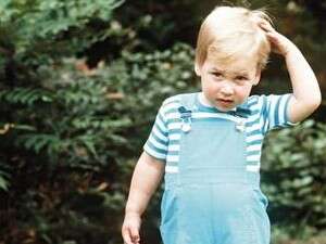 ����� ������� �������.