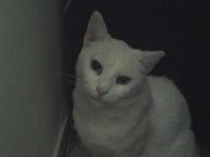 ������ ��