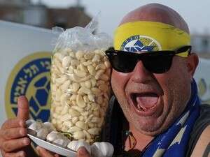 אילן השועל אילן השועל