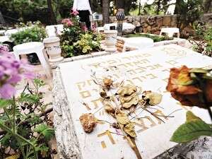 ����� ������ ��� ����