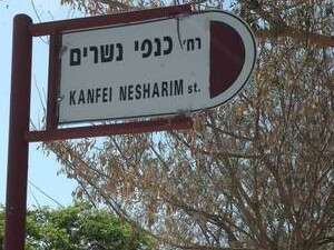 רחוב כנפי נשרים בשכונת נווה דקלים באשקלון רחוב כנפי נשרים בשכונת נווה דקלים באשקלון