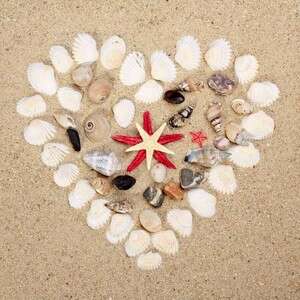 ����. �� ��� ����