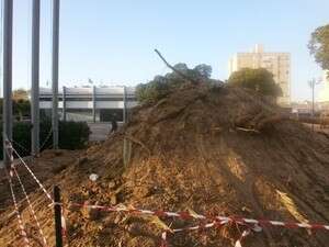 רחבת עיריית קרית ים, לאחר עקירת העצים רחבת עיריית קרית ים, לאחר עקירת העצים