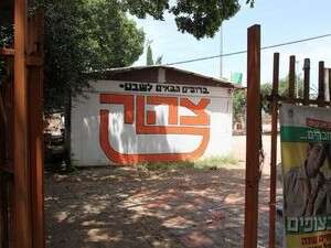 שבט צהלה שבט צהלה