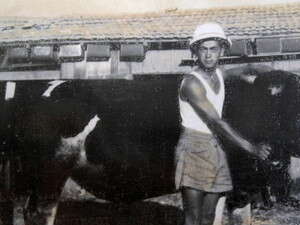 ����� ���� ��������� �������� ����.