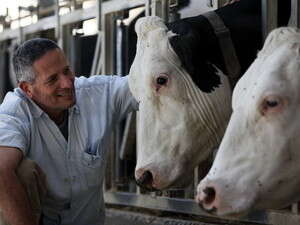 ��� ������ �� ����� �������� ����.