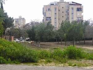 החורשה עליה מיועד להיבנות בית ספר חרדי החורשה עליה מיועד להיבנות בית ספר חרדי