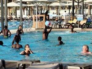 בריכת גורדון, השבוע. ושכולם יקפצו בריכת גורדון, השבוע. ושכולם יקפצו