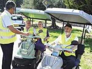 קלנועיות בחצור הגלילית קלנועיות בחצור הגלילית