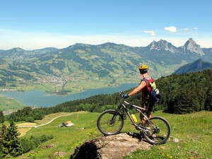 העין מסרבת להתרגל לצבע הירוק. העין מסרבת להתרגל לצבע הירוק.