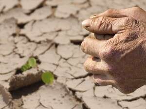 ���� ��� ������� ��������� �������� �� ���� ����