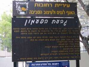 ���� ������ �������