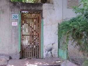 ��� ������� ����