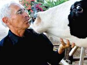 זהבה וחרמש בבאר טוביה זהבה וחרמש בבאר טוביה