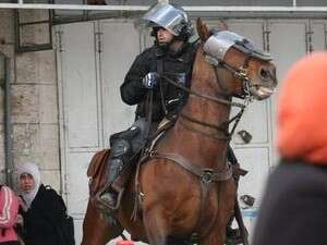 ��� ������