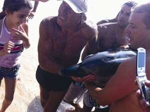 ����� ��������