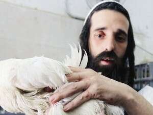 יואליש קרויס יואליש קרויס