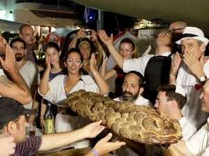 ���� ���� ����� ��������