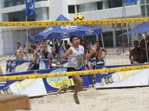 פרה נוגח נגד אילת פרה נוגח נגד אילת