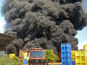 ������ ����� �����