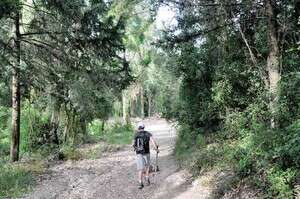 קטע משביל ישראל בכרמל קטע משביל ישראל בכרמל