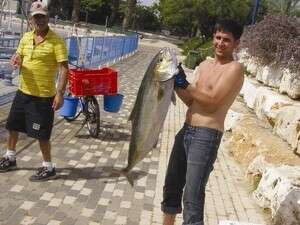 מאור סלוצקי מאור סלוצקי