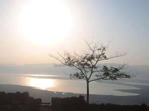 ים המלח ים המלח