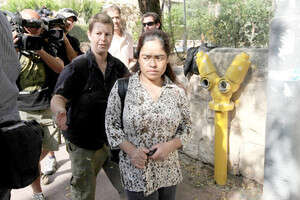 ���� �����, ����