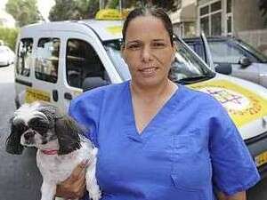 מיכל שור מיכל שור
