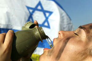 טירונות. טירונות.